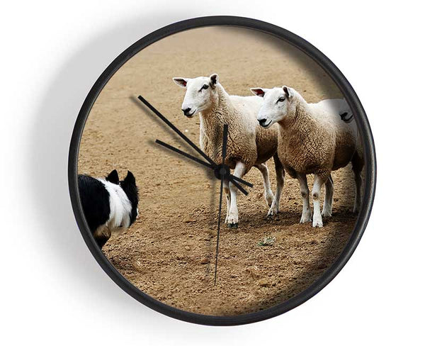 Sheepdog Roundup Clock - Wallart-Direct UK