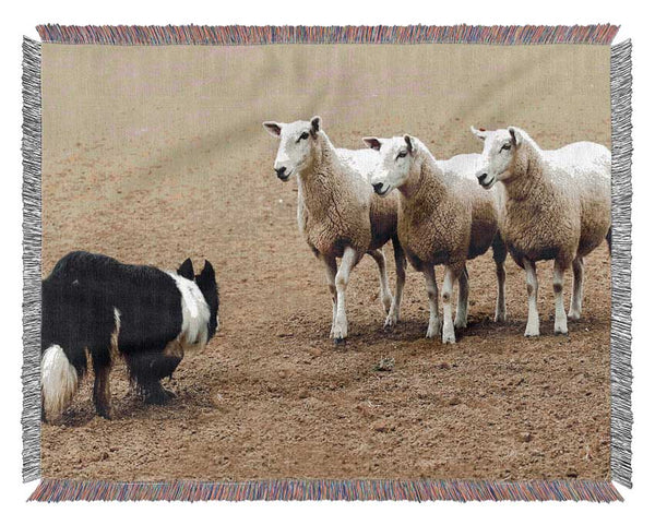 Sheepdog Roundup Woven Blanket