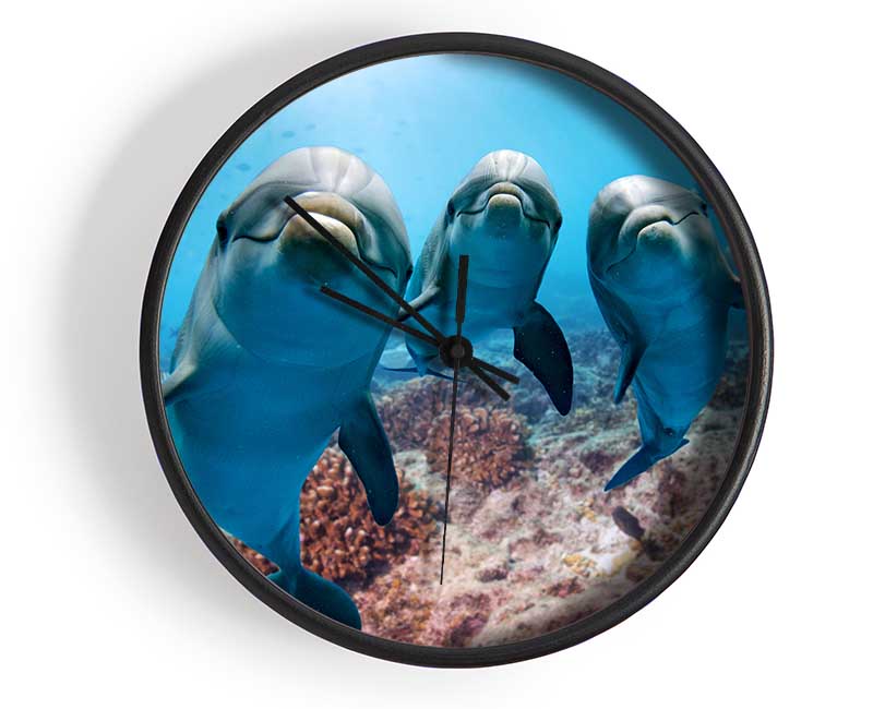 Inquisitive Dolphin Trio Clock - Wallart-Direct UK