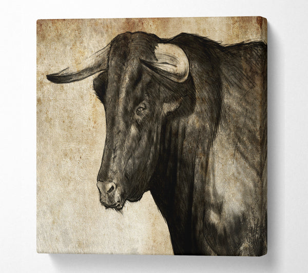 A Square Canvas Print Showing Bull Horns Square Wall Art