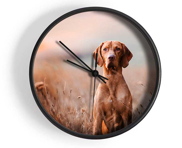 Dog Obedience Clock - Wallart-Direct UK