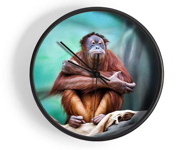 Orangutan Forest Clock - Wallart-Direct UK