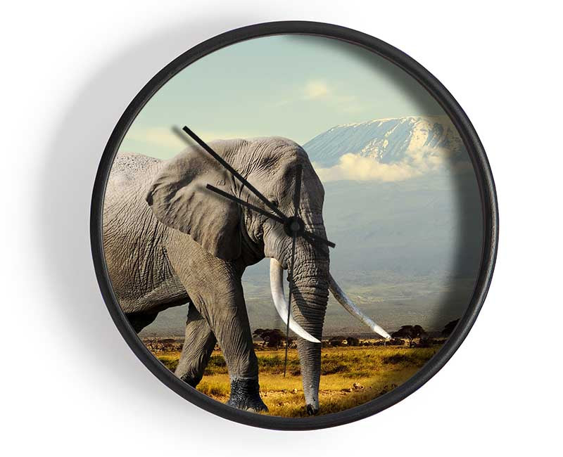 Elephant Roaming Clock - Wallart-Direct UK