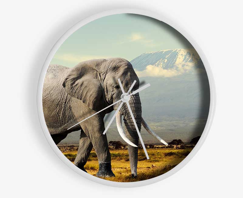 Elephant Roaming Clock - Wallart-Direct UK