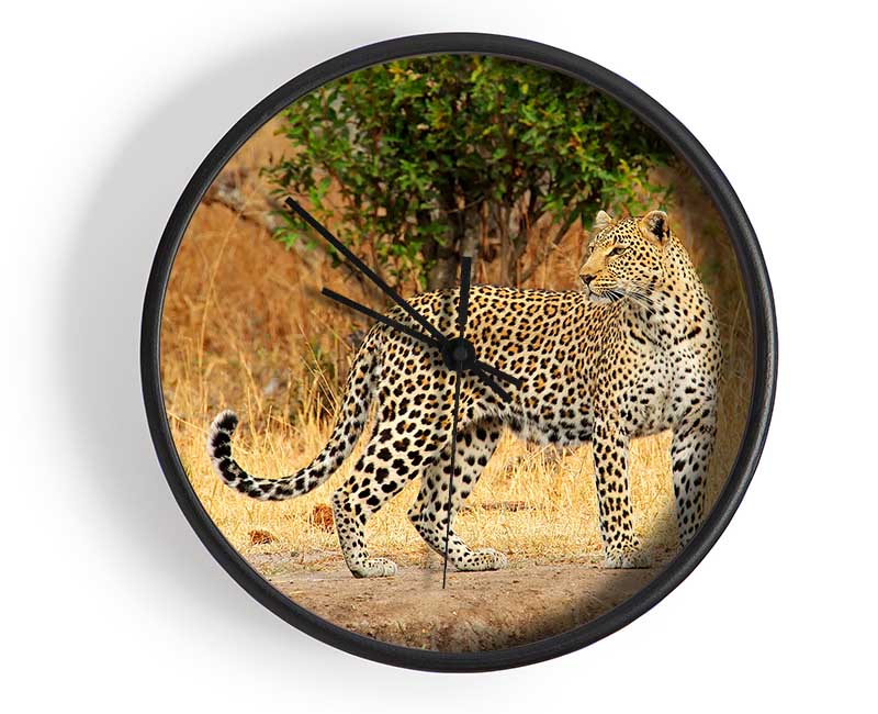 Leopard Watch Clock - Wallart-Direct UK