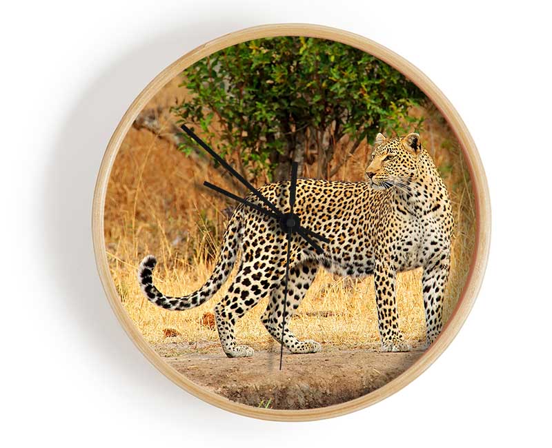 Leopard Watch Clock - Wallart-Direct UK