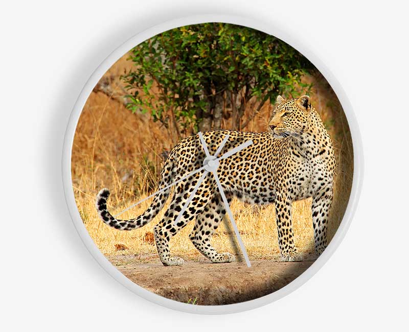 Leopard Watch Clock - Wallart-Direct UK