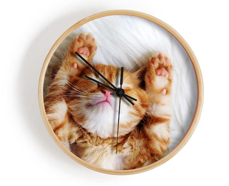 Cat Snooze Clock - Wallart-Direct UK