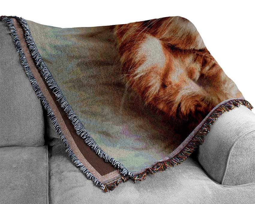 Cat Snooze Woven Blanket