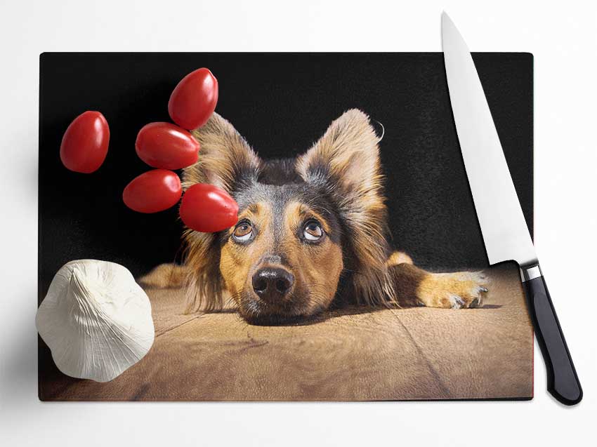 Dog Love Glass Chopping Board