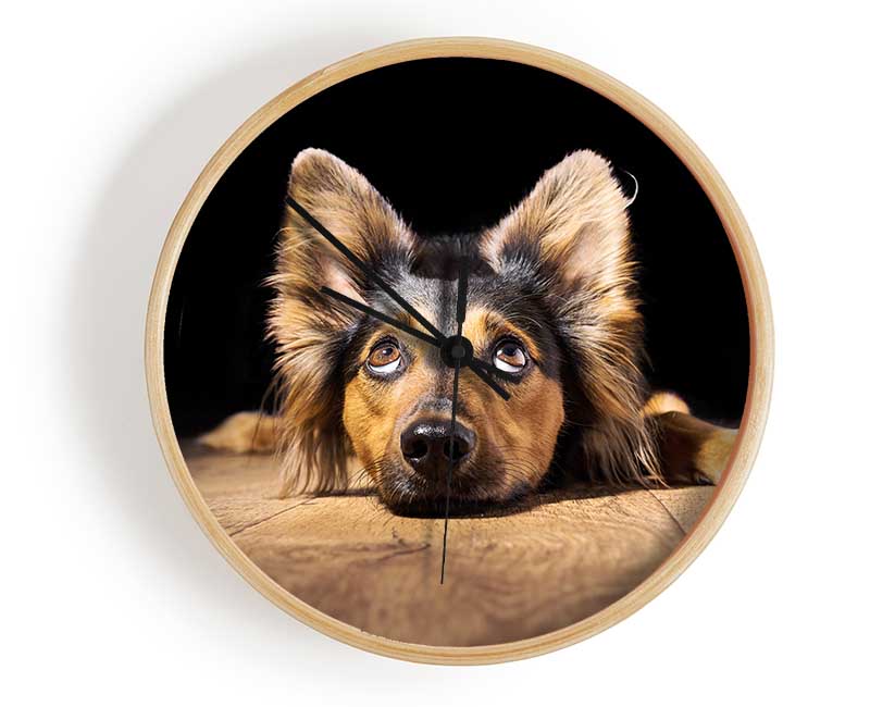 Dog Love Clock - Wallart-Direct UK