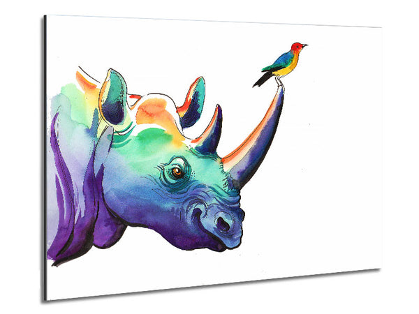 Rainbow Rhino Bird