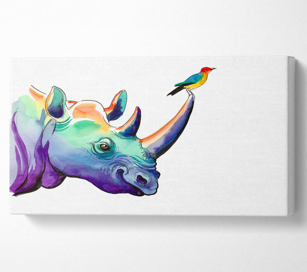 Rainbow Rhino Bird