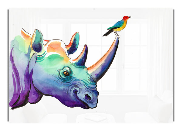 Rainbow Rhino Bird