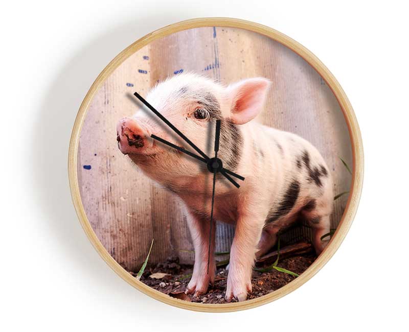 Micro Pig Clock - Wallart-Direct UK