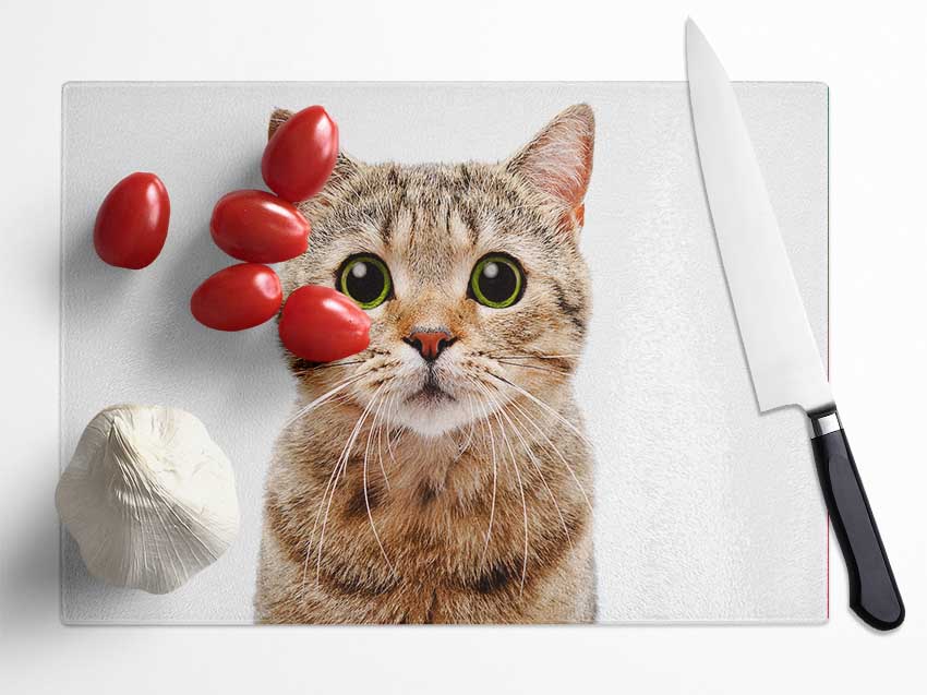 Curious Cat Glass Chopping Board