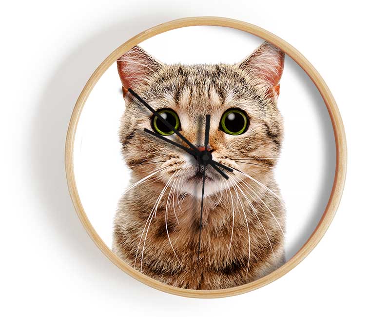 Curious Cat Clock - Wallart-Direct UK