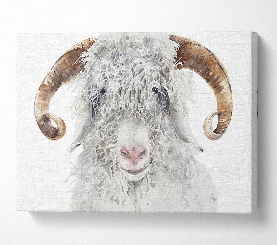 Picture of Sheep Beauty Canvas Print Wall Art