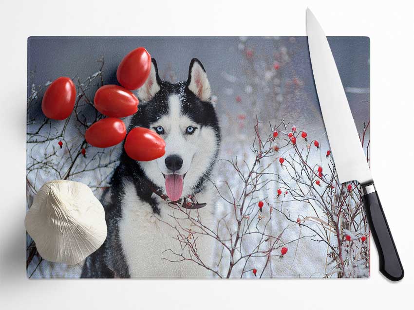 Husky Dog In The Winter Glass Chopping Board