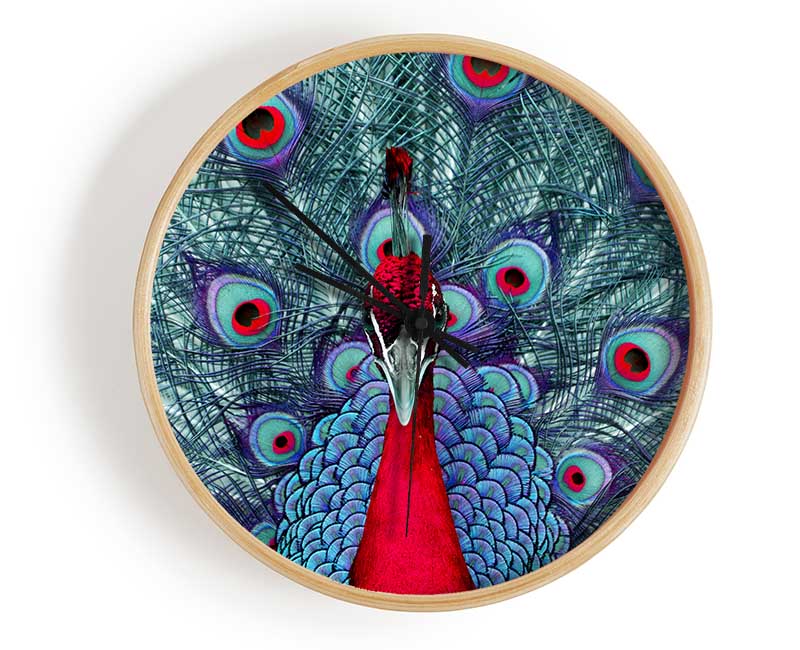 Peacock Beauty Clock - Wallart-Direct UK