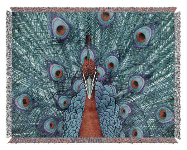 Peacock Beauty Woven Blanket