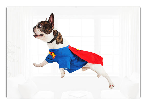 Super Dog