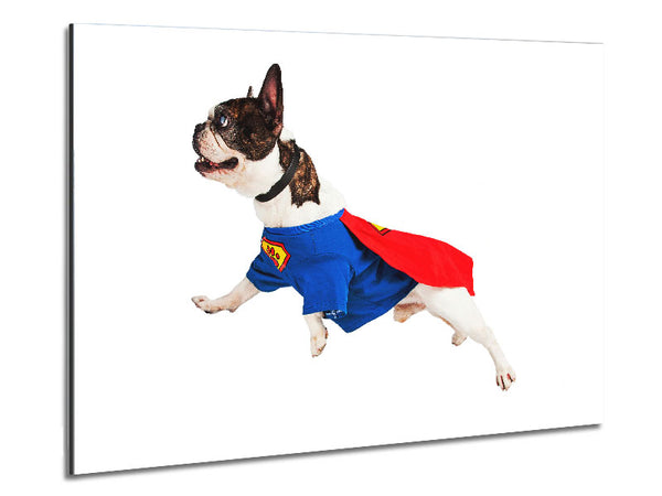 Super Dog