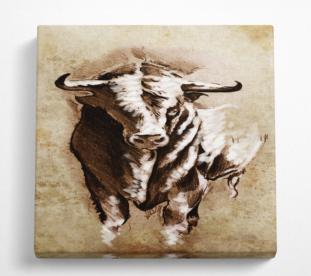 A Square Canvas Print Showing Bull Stare Square Wall Art