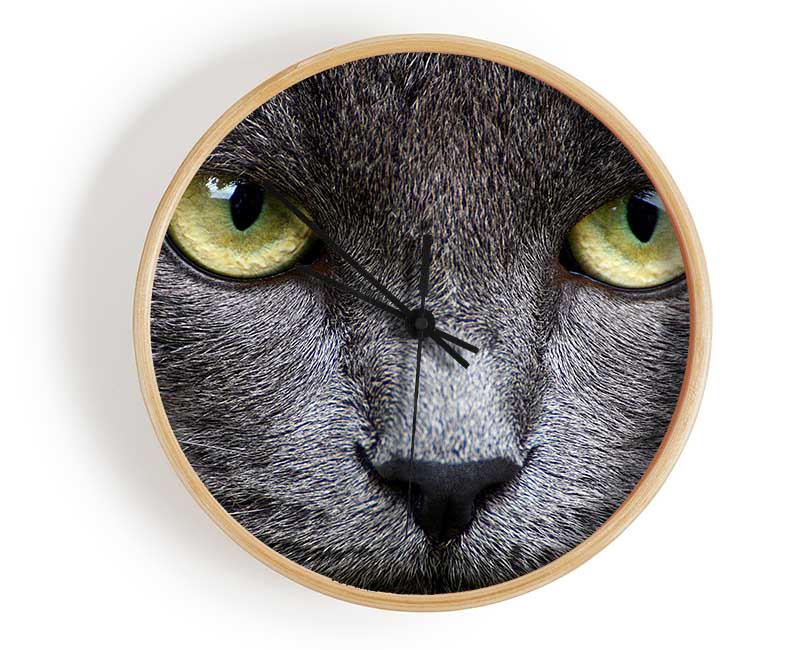 Smokey Grey Cat Clock - Wallart-Direct UK