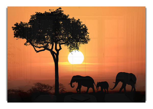 Elephant Safari Sunset