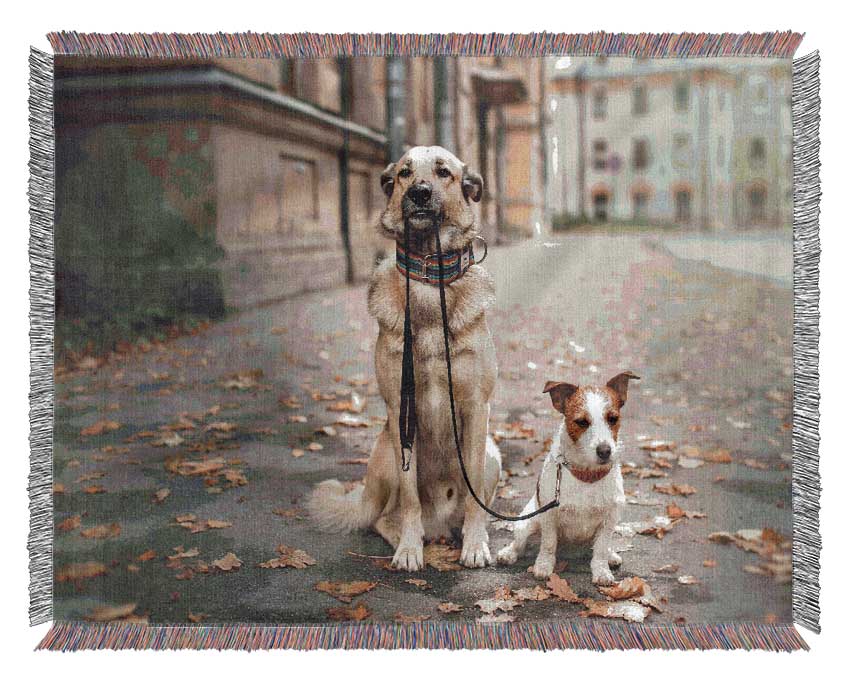 Dog Walking Dog Woven Blanket