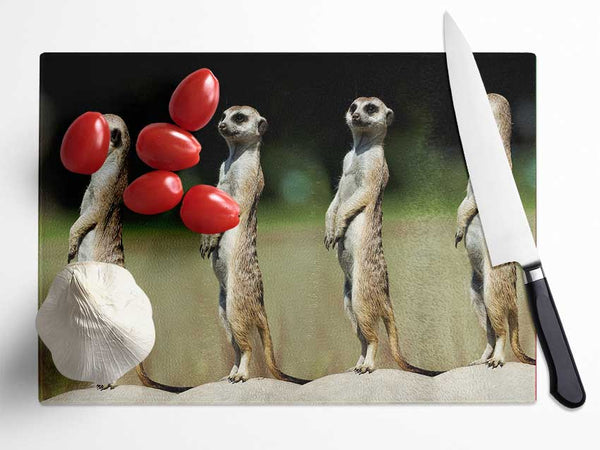 Meerkat Team Glass Chopping Board