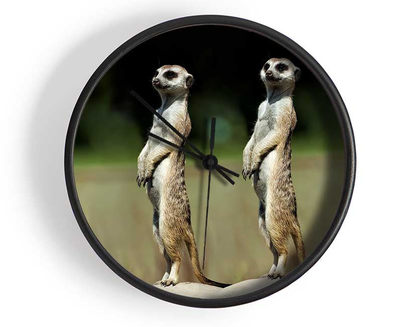 Meerkat Team Clock - Wallart-Direct UK