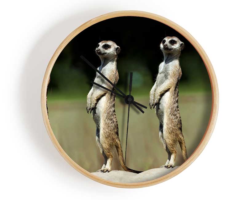 Meerkat Team Clock - Wallart-Direct UK