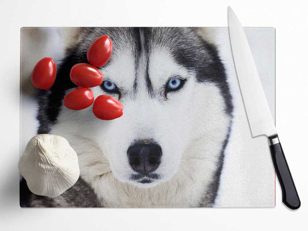 Husky Dog Snow Face Glass Chopping Board