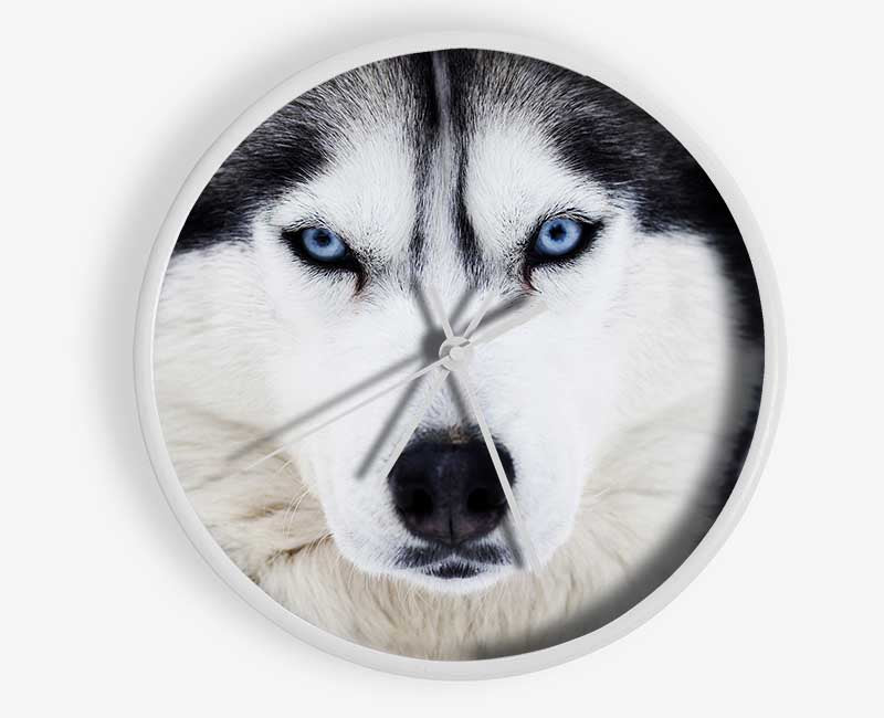 Husky Dog Snow Face Clock - Wallart-Direct UK