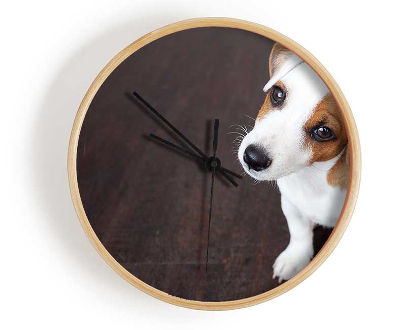 Inquisitive Dog Jack Russell Pup Clock - Wallart-Direct UK