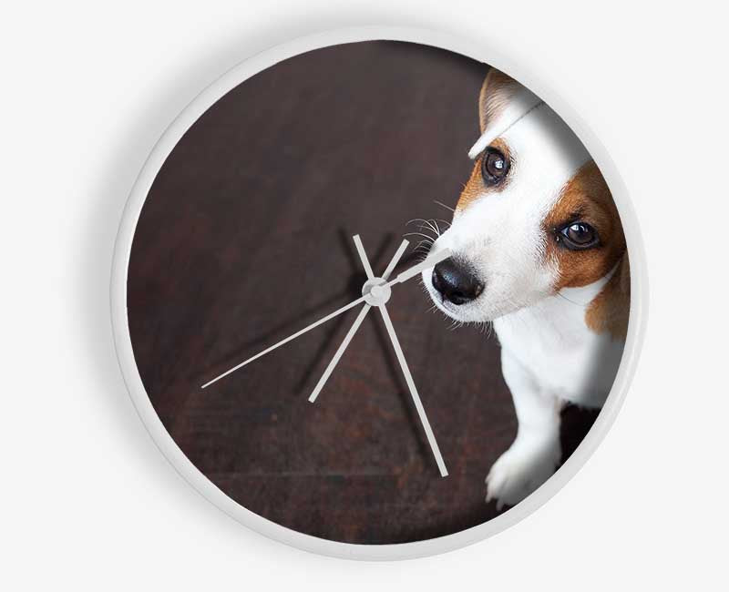 Inquisitive Dog Jack Russell Pup Clock - Wallart-Direct UK