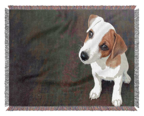 Inquisitive Dog Jack Russell Pup Woven Blanket