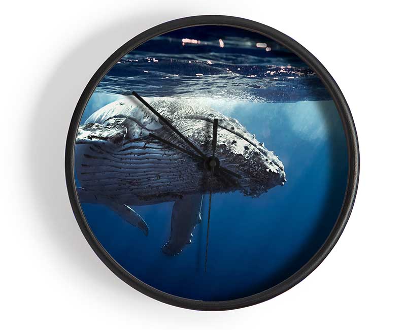 Humpback Whale Waters Clock - Wallart-Direct UK