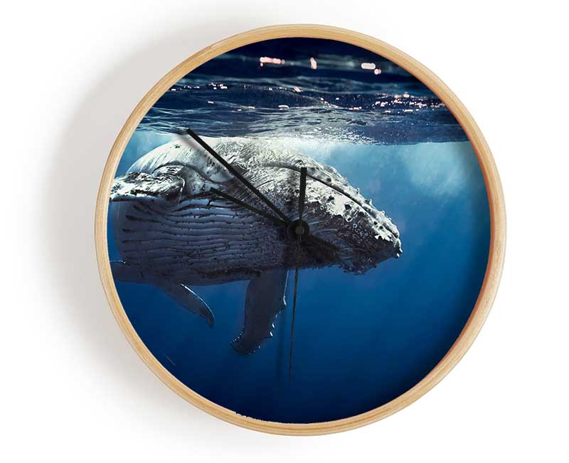 Humpback Whale Waters Clock - Wallart-Direct UK