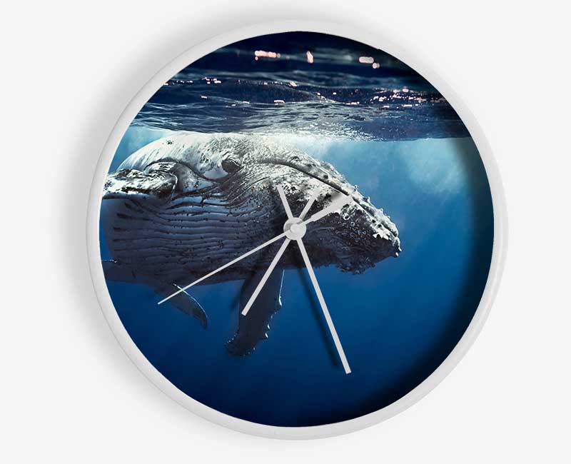 Humpback Whale Waters Clock - Wallart-Direct UK