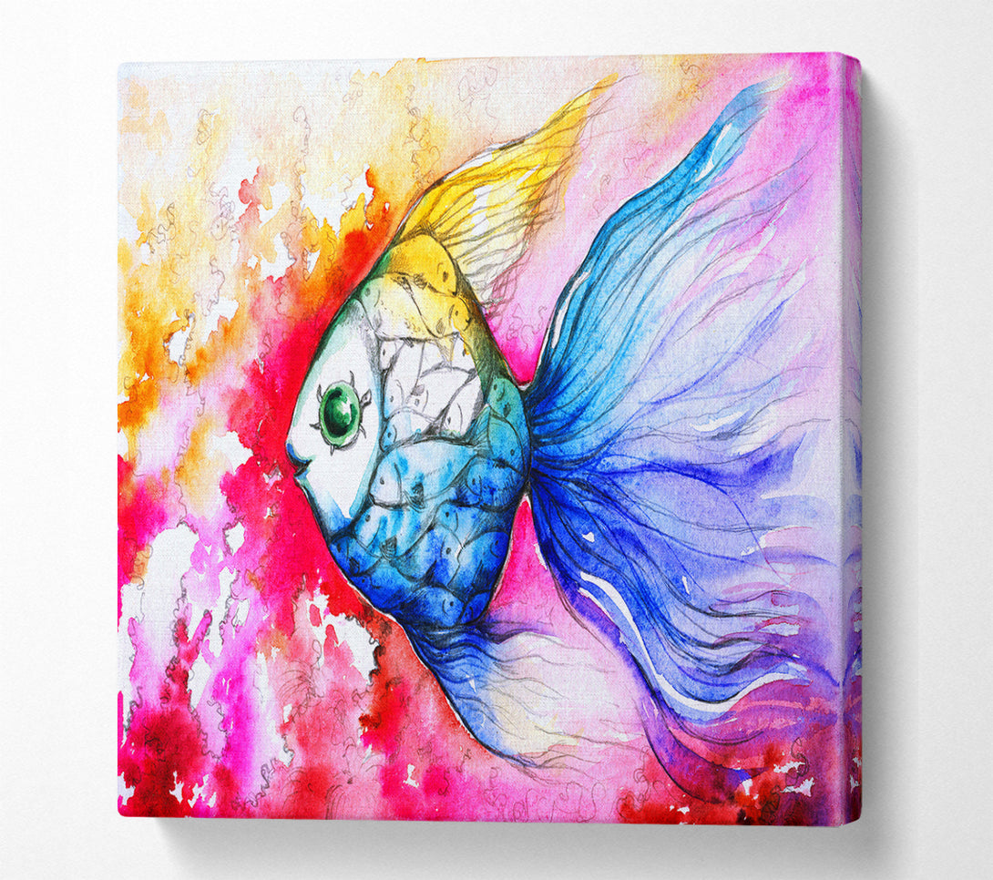 A Square Canvas Print Showing MultiColoured Fish Square Wall Art