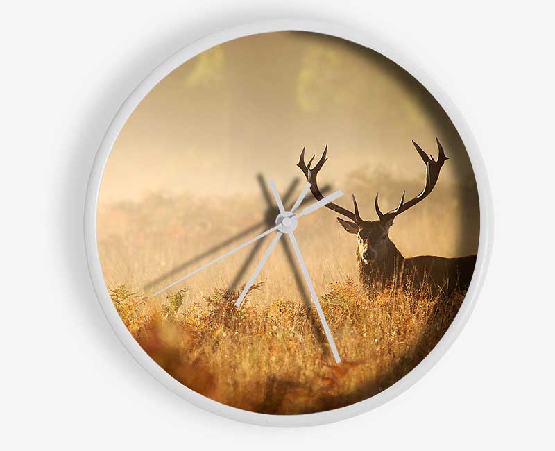 Stag Deer Sunlight Clock - Wallart-Direct UK