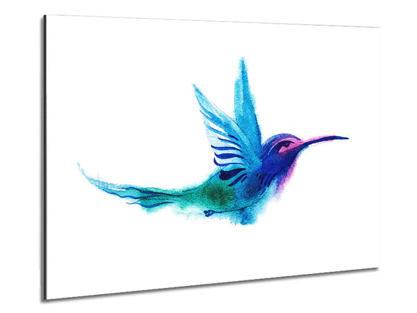 Elegant Rainbow Bird