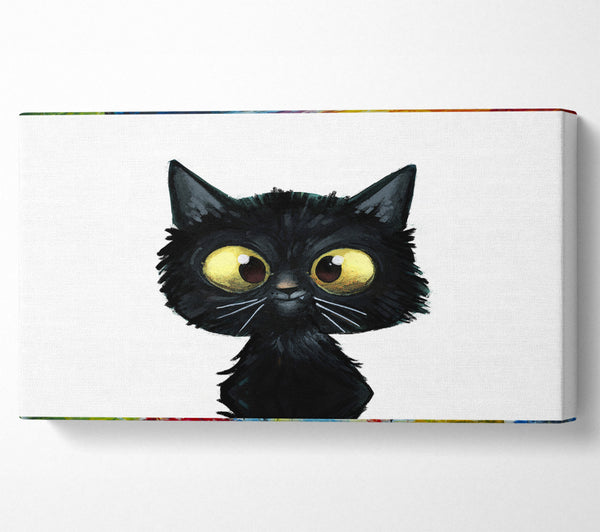 Funny Black Cat