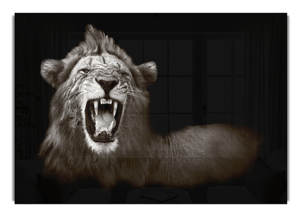 Lion Roar