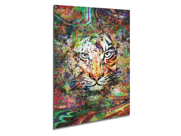 Rainbow Splash Tiger