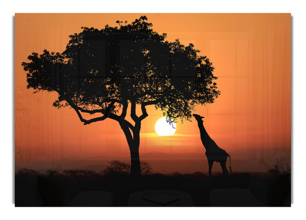 Giraffe Safari Sunset