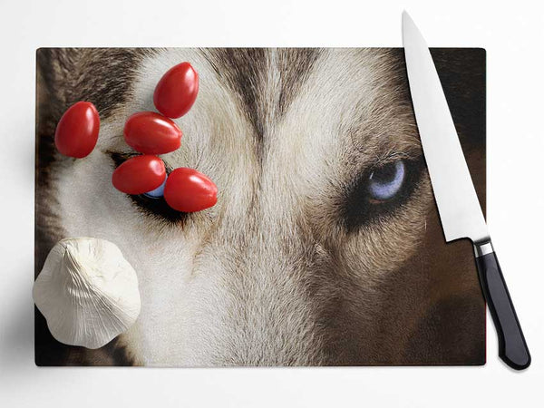 Stunning Husky Dog Eyes Glass Chopping Board